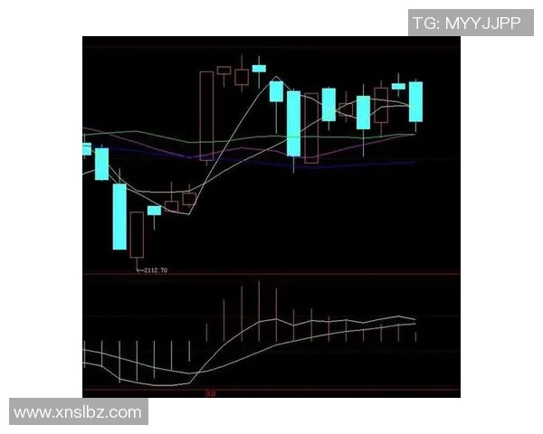 NBA季后赛球队防守策略演变及关键调整的数据化深度分析